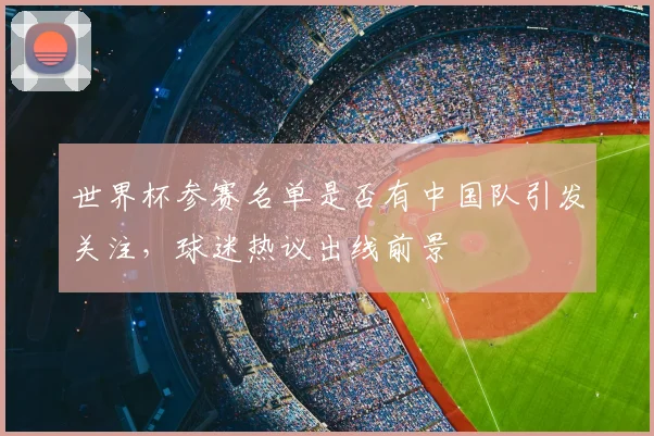 世界杯参赛名单是否有中国队引发关注,球迷热议出线前景